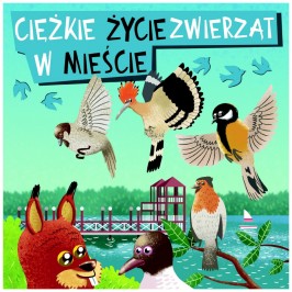 Ciężkie życie zwierząt w mieście strona 1